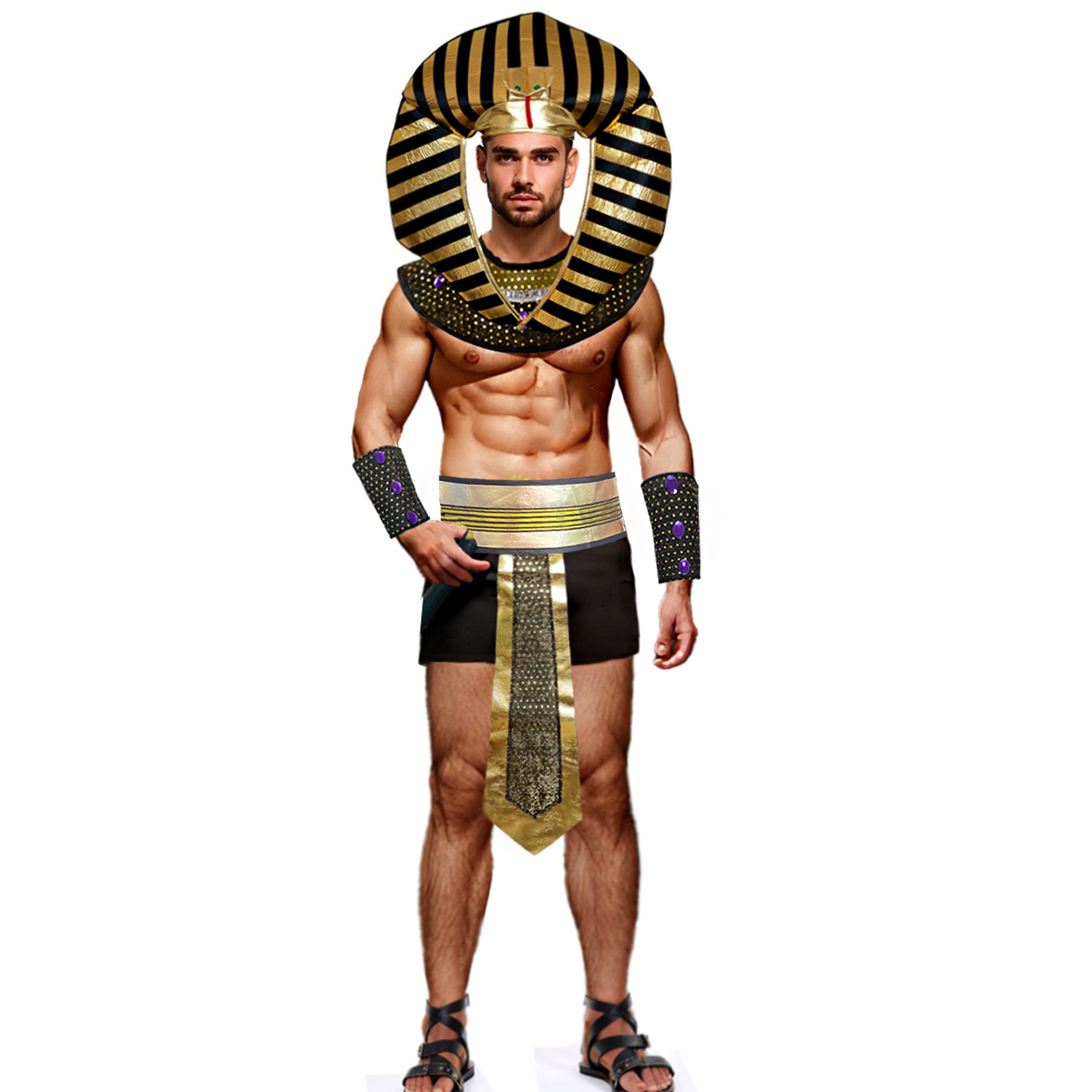 Carnival Men Costume Egyptian  - Men Accessories Egypt recension och pris